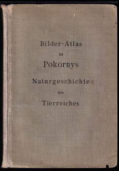 Bilder -  Altas zu Pokornys Naturgeschichte des Tierreiches