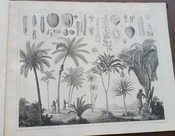 Georg Heck: KOMPLET Georg Heck 5X Bilder-Atlas zum Conversations-Lexikon. Ikonographische Encyklopädie der Wissenschaften und Künste. Díly 1,3,6,7,8 Mathematische und Naturwissenschaften + Schiffbau und Seewesen + Geschichte un Baukunst +  Religion und Cultus +  Geschichte und Völkerkunde