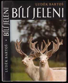 Bílí jeleni
