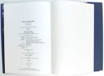 Ludomír Kocourek: Bílina v zrcadle staletí