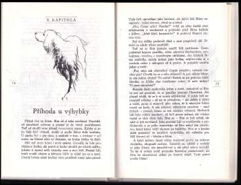 Gavriil Nikolajevič Trojepol'skij: Bílý Bim