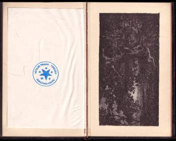 Prokop Toman: Bílý démon