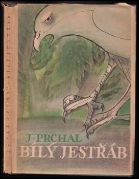 Bílý jestřáb