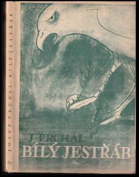 Bílý jestřáb