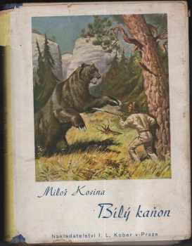 Bílý kaňon