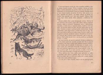 Jack London: Bílý tesák