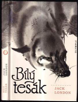 Bílý tesák