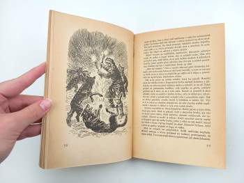 Jack London: Bílý tesák - S OBÁLKOU