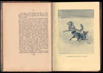 Ernest Thompson Seton: Bingo a jiné příběhy zvířat