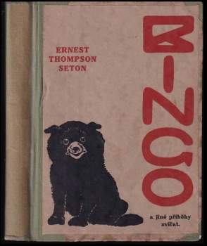 Bingo a jiné příběhy zvířat