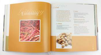 Hana Zemanová: BioAbecedář Hanky Zemanové