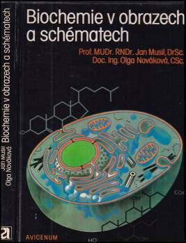 Biochemie v obrazech a schématech