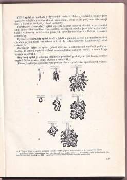 Zdeněk Sova: Biologické základy živočišné výroby