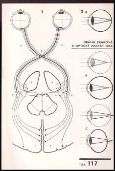 Rudolf Linc: Biologický náčrtník