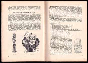Rudolf Pelíšek: Biologie a mineralogie s geologií
