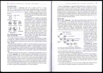 Ivan Novotný: Biologie člověka