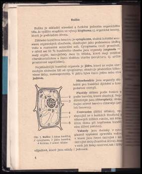 Vojtěch Hainer: Biologie člověka pro 3. ročník střední školy pro pracující