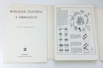 Stanislav Trojan: Biologie člověka v obrazech