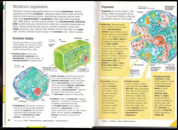 Corinne Stockley: Biologie