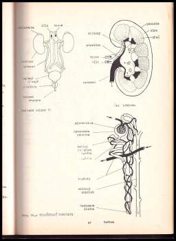 Jiří Šlégl: Biologie