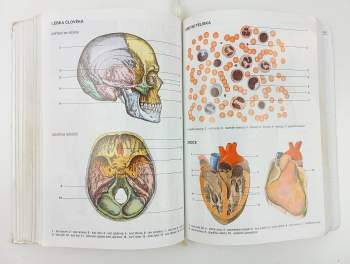 Jan Jelínek: Biologie pro gymnázia