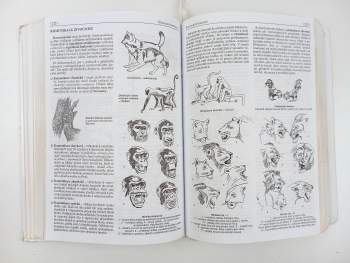 Jan Jelínek: Biologie pro gymnázia