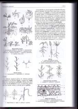 Jan Jelínek: Biologie pro gymnázia