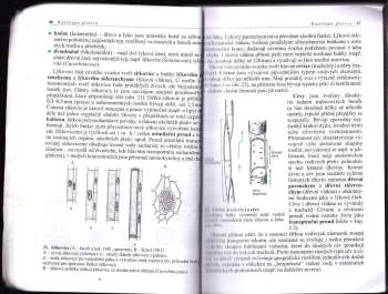 Lubomír Kincl: Biologie rostlin