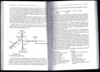 Lubomír Kincl: Biologie rostlin pro 1. ročník gymnázií