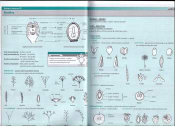 Marie Vlková: Biologie v kostce