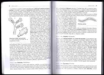 Ivan Horáček: Biologie živočichů pro gymnázia