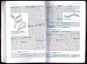 Ivan Horáček: Biologie živočichů pro gymnázia