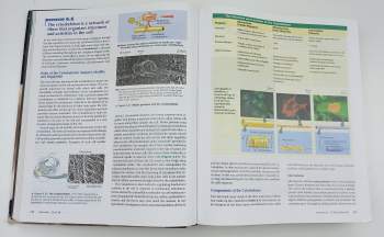 Neil A Campbell: Biology