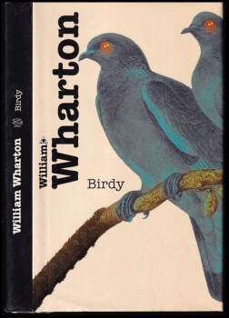 Birdy