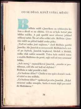 Eduard Petiška: Birlibán