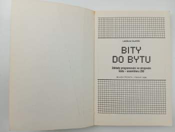 Ladislav Zajíček: Bity do bytu