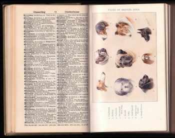 Blackie's Standard Dictionary with Fifteen Plates in Colour