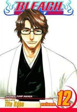 Bleach 12 (anglicky)