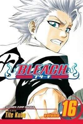 Bleach 16 (anglicky)