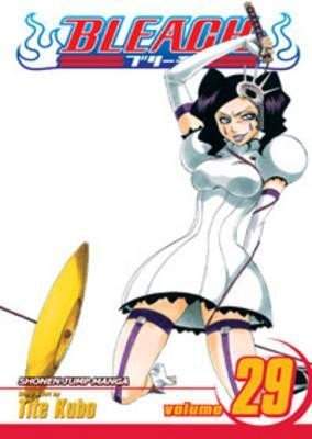 Bleach 29 (anglicky)
