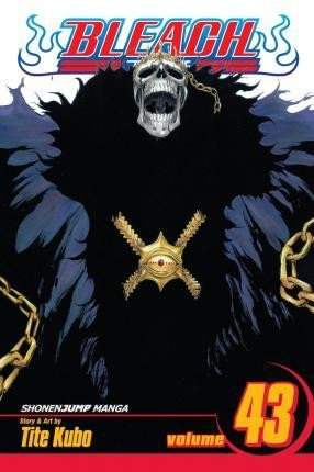 Bleach 43 (anglicky)