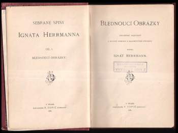 Ignát Herrmann: Blednoucí obrázky
