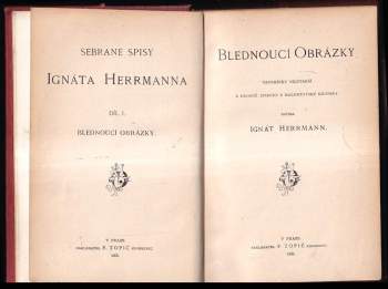 Ignát Herrmann: Blednoucí obrázky