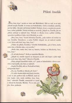 Vladimír Fořt: Bledulka-cibulka