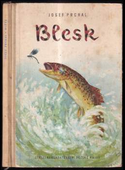 Blesk
