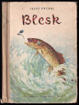 Blesk