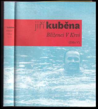 Blíženci v krvi