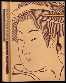 Jan Havlasa: Bloudění duší