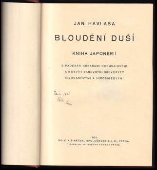 Jan Havlasa: Bloudění duší