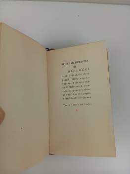 Jaroslav Durych: Bloudění